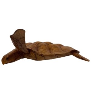 Wooden Carved Turtle Wall Hanging