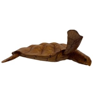 Wooden Carved Turtle Wall Hanging