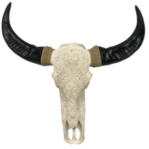 Carved Buffalo Skull Wall Hanging