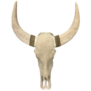 Plain Buffalo Skull Wall Hanging