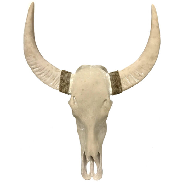 Plain Buffalo Skull Wall Hanging