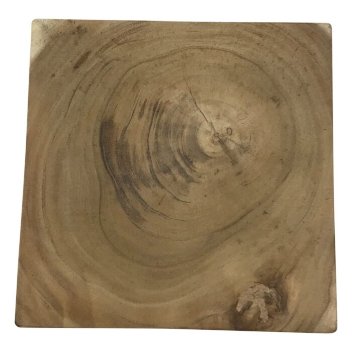 NJA9650-Table-Side-Twist-Root-Teak-30x30x45cm-Detail-Sotran.jpg NJA9650-Table-Side-Twist-Root-Teak-30x30x45cm-Detail-Sotran.jpg