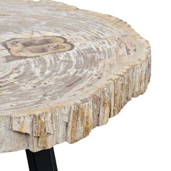Natural-Petrified-Stone-Table-Close-Up-SideBUK9500.jpg Natural-Petrified-Stone-Table-Close-Up-SideBUK9500.jpg