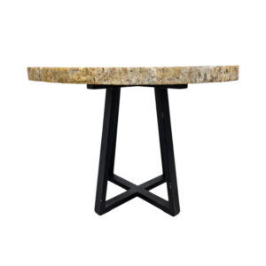 Natural-Petrified-Stone-Table-Front-BUK9505.jpg