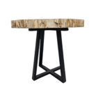 Natural-Petrified-Stone-Table-FrontBUK9500.jpg