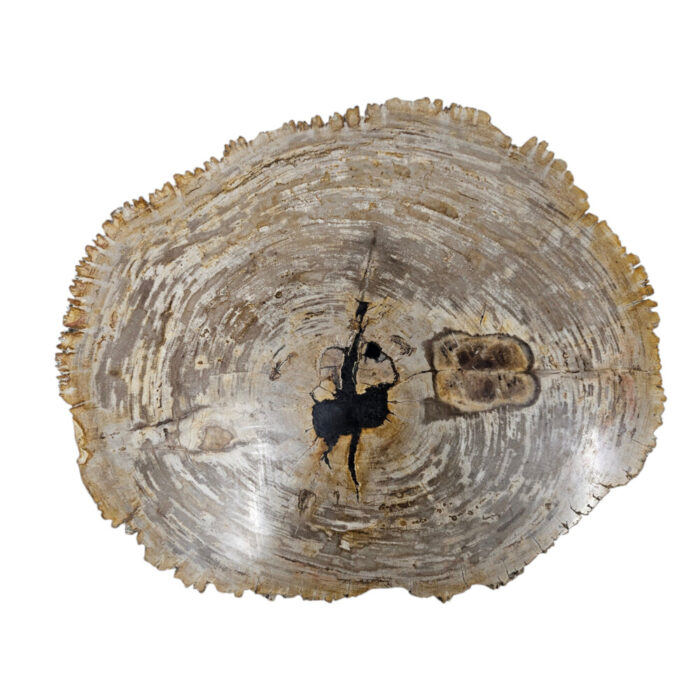 Natural-Petrified-Stone-Table-Top-BUK9500.jpg Natural-Petrified-Stone-Table-Top-BUK9500.jpg