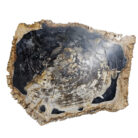 Natural-Petrified-Stone-Table-Top-BUK9504.jpg