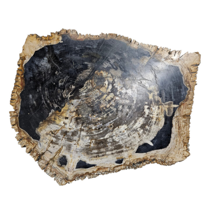Natural-Petrified-Stone-Table-Top-BUK9504.jpg Natural-Petrified-Stone-Table-Top-BUK9504.jpg