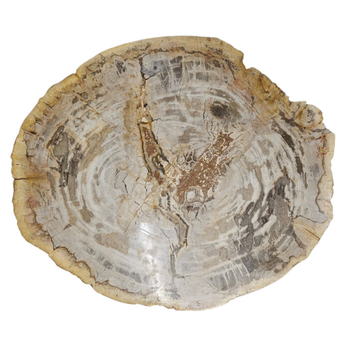 Natural-Petrified-Stone-Table-TopBUK9505.jpg Natural-Petrified-Stone-Table-TopBUK9505.jpg