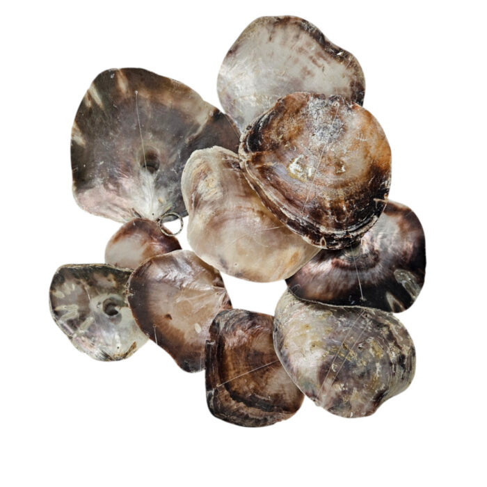 Natural-Shells-On-A-String-Main.jpg Natural Shells On A String