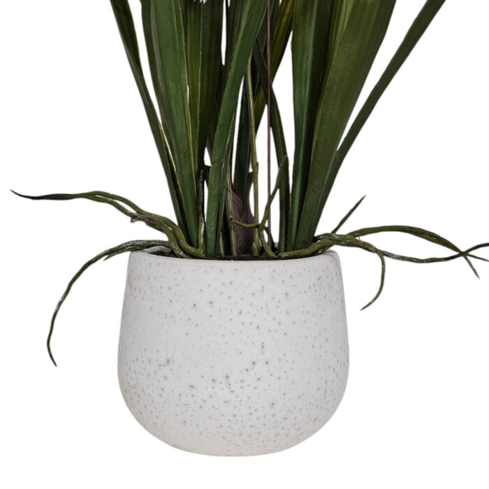 Oncidium-Faux-Orchid-In-White-Pot-Bottom.jpg Oncidium-Faux-Orchid-In-White-Pot-Bottom.jpg