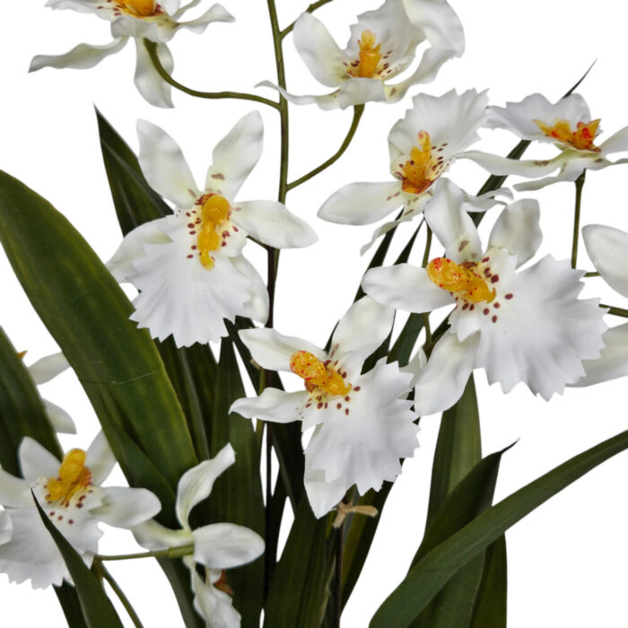 Oncidium-Faux-Orchid-In-White-Pot-Close.jpg Oncidium-Faux-Orchid-In-White-Pot-Close.jpg