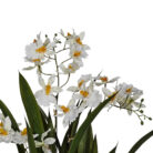 Oncidium-Faux-Orchid-In-White-Pot-Close-Up.jpg