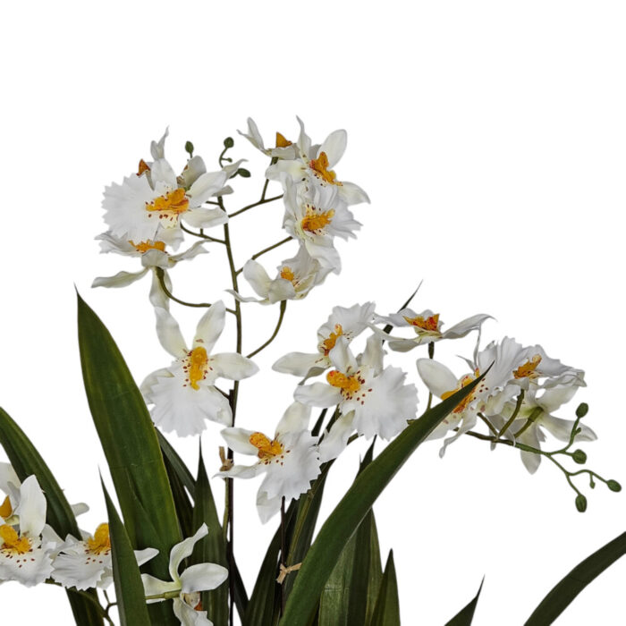 Oncidium-Faux-Orchid-In-White-Pot-Close-Up.jpg Oncidium-Faux-Orchid-In-White-Pot-Close-Up.jpg