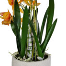 Orange-Swan-Faux-Orchid-Close-Mid.jpg