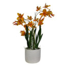 Orange-Swan-Faux-Orchid-Main.jpg