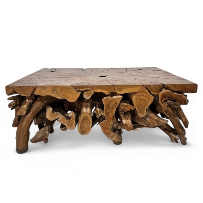 Puzzle-Root-Coffee-Table-Main Puzzle-Root-Coffee-Table-Main