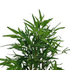 Small-Faux-Bamboo-Tree-Top.jpg