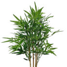 Small-Faux-Bamboo-Tree-Top-View.jpg