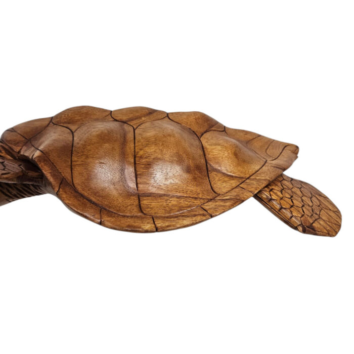 Swimming-Wall-Turtle-Close-Back.jpg
