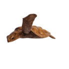 Swimming turtle wall art