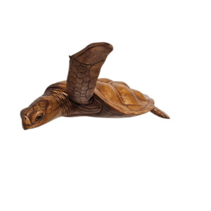 Swimming turtle wall art