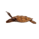 Marine life wall decor