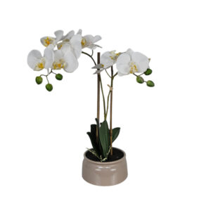Lifelike faux orchid décor