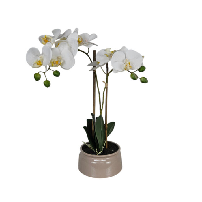 White-Faux-Orchid-Beige-Pot.jpg Lifelike faux orchid décor