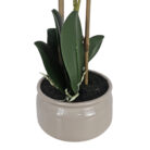 White-Faux-Orchid-Beige-Pot-Close.jpg