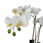 White-Faux-Orchid-Beige-Pot-Close-Up.jpg