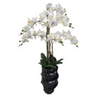 Artificial white orchid plant