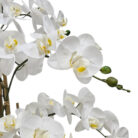 Artificial white orchid plant