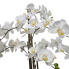 Artificial white orchid plant