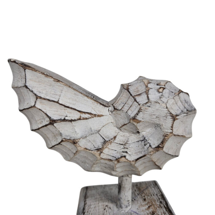 White-Wash-Wooden-Shell-On-Stand-17cm-Close-Up.jpg White-Wash-Wooden-Shell-On-Stand-17cm-Close-Up.jpg