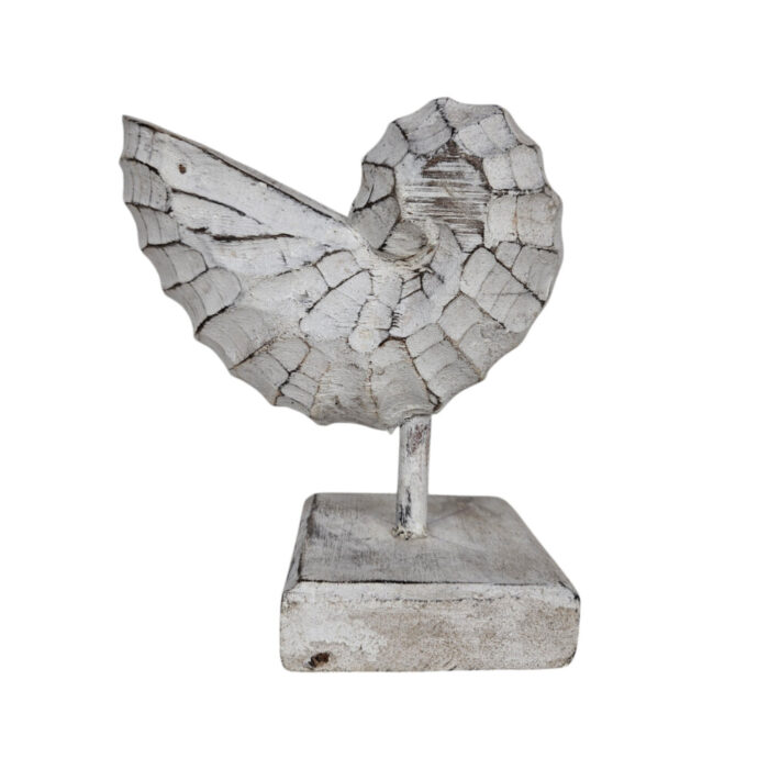 White-Wash-Wooden-Shell-On-Stand-20cm.jpg White-Wash-Wooden-Shell-On-Stand-20cm.jpg