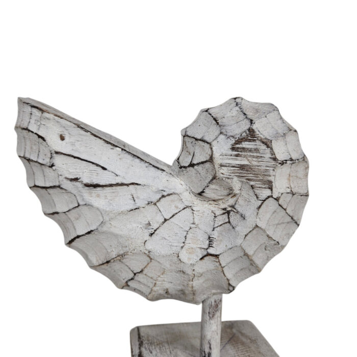 White-Wash-Wooden-Shell-On-Stand-20cm-Close-Up.jpg White-Wash-Wooden-Shell-On-Stand-20cm-Close-Up.jpg