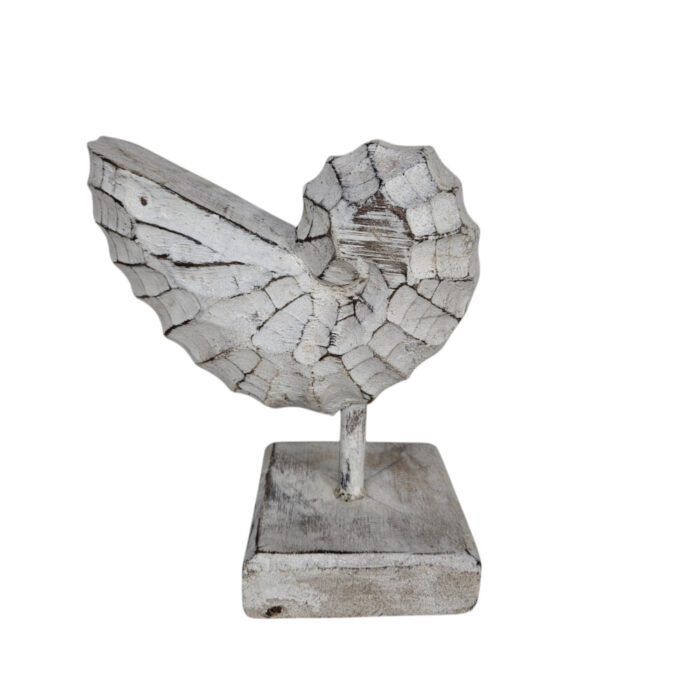 White-Wash-Wooden-Shell-On-Stand-25cm.jpg White-Wash-Wooden-Shell-On-Stand-25cm.jpg
