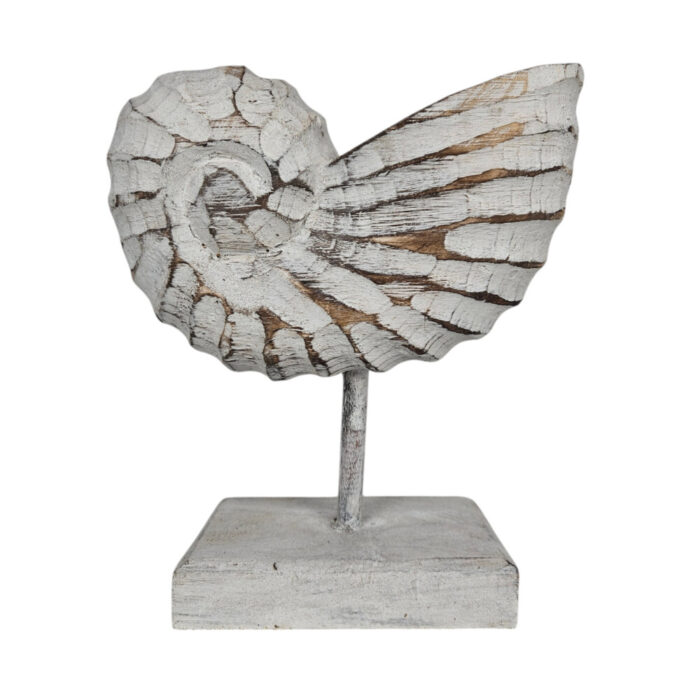 White-Wash-Wooden-Shell-On-Stand-25cm-Front.jpg White-Wash-Wooden-Shell-On-Stand-25cm-Front.jpg