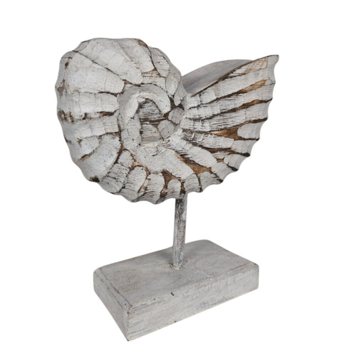 White-Wash-Wooden-Shell-On-Stand-25cm-Side.jpg White-Wash-Wooden-Shell-On-Stand-25cm-Side.jpg