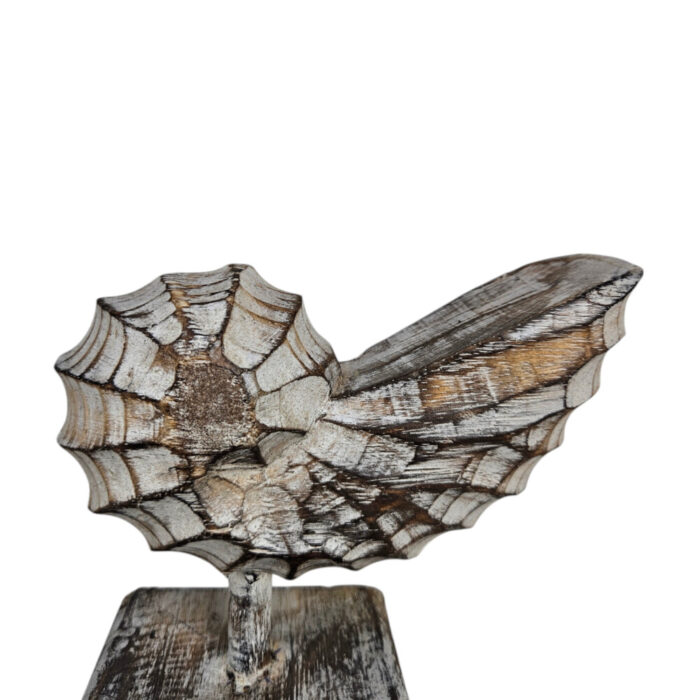Wooden-Shell-On-A-Stand-17cm-Close-Up.jpg Wooden-Shell-On-A-Stand-17cm-Close-Up.jpg