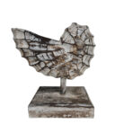 Wooden-Shell-On-A-Stand-20cm.jpg