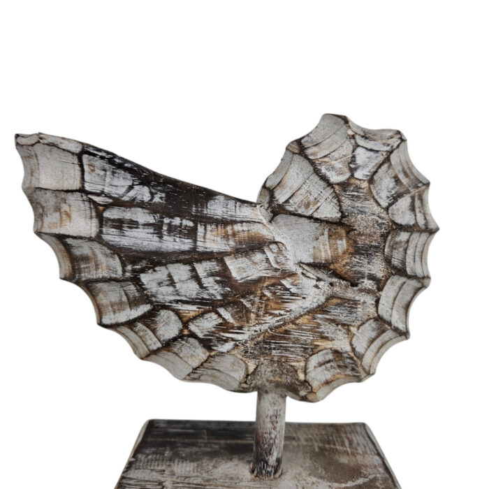 Wooden-Shell-On-A-Stand-20cm-Close-Up.jpg Wooden-Shell-On-A-Stand-20cm-Close-Up.jpg