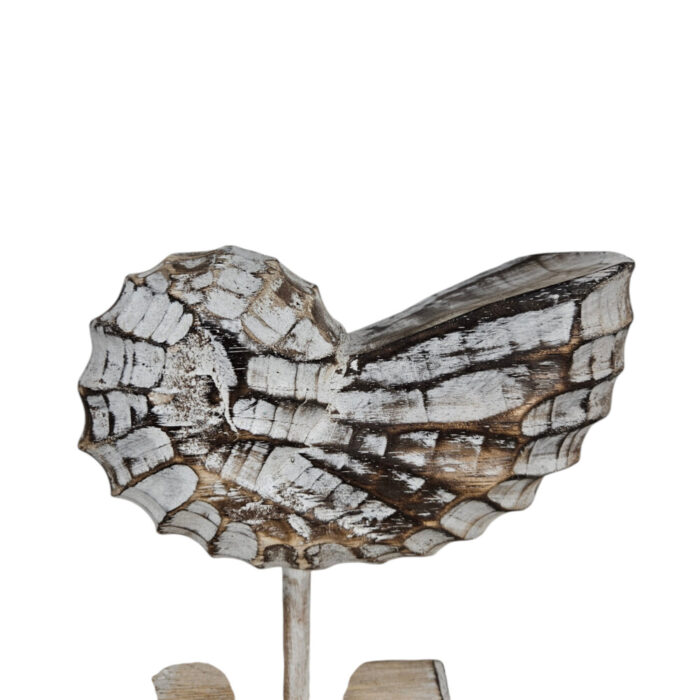 Wooden-Shell-On-A-Stand-25cm-Close-Up.jpg Wooden-Shell-On-A-Stand-25cm-Close-Up.jpg