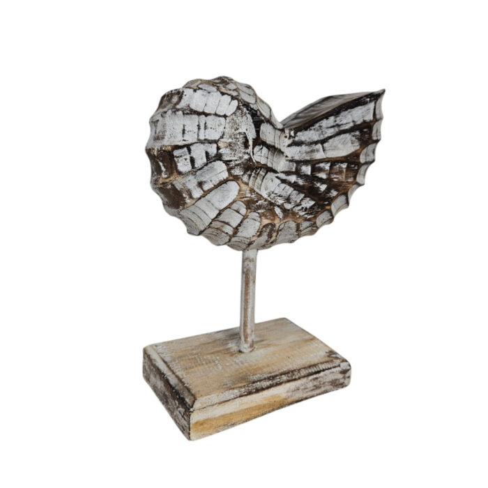 Wooden-Shell-On-A-Stand-25cm-Side.jpg Wooden-Shell-On-A-Stand-25cm-Side.jpg