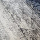 Cambridge Carpet FOF0100 Main cLOSE uP sIDE