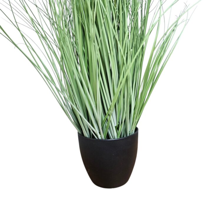 Potted Grass Flower PHG0040 Bottom Potted Grass Flower PHG0040 Bottom