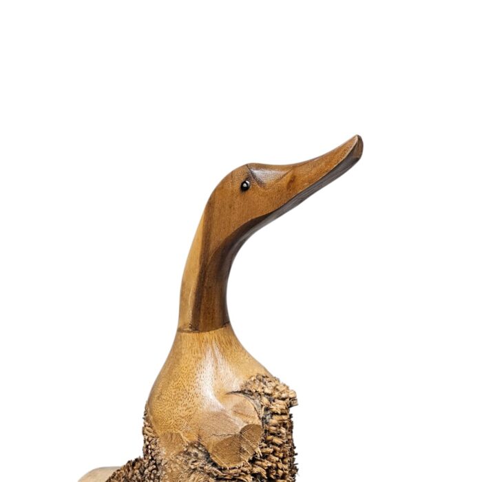 Root Quacky Bambu Duck Close