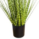 Zabra Striped Grass PHG0002 Close Bottom