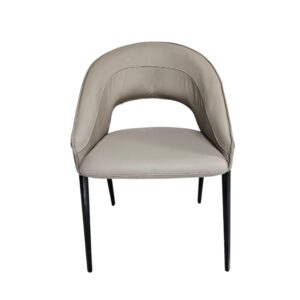 Carsyn Pu Leather Dining Chair